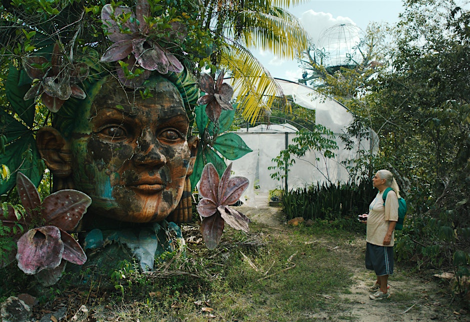 The Blue Trail / O Último Azul